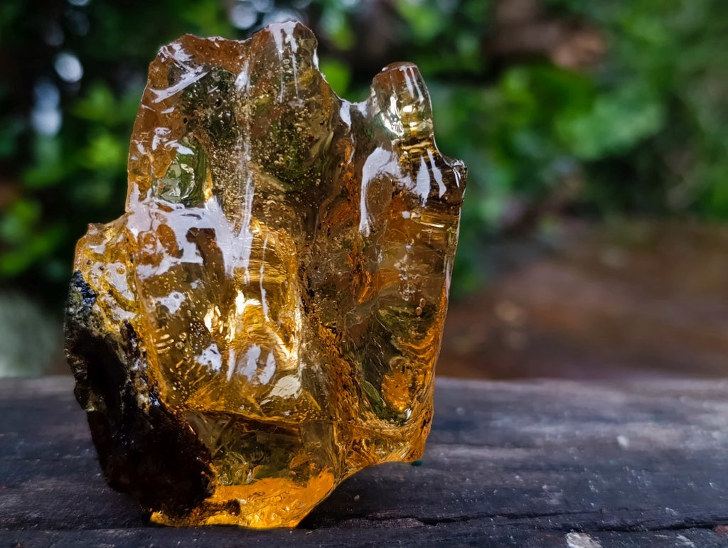 Natural Copal Amber with Insect and Plant Inclusions x 1 From Nosy Varika Madagascar