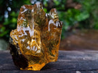 Natural Copal Amber with Insect and Plant Inclusions x 1 From Nosy Varika Madagascar
