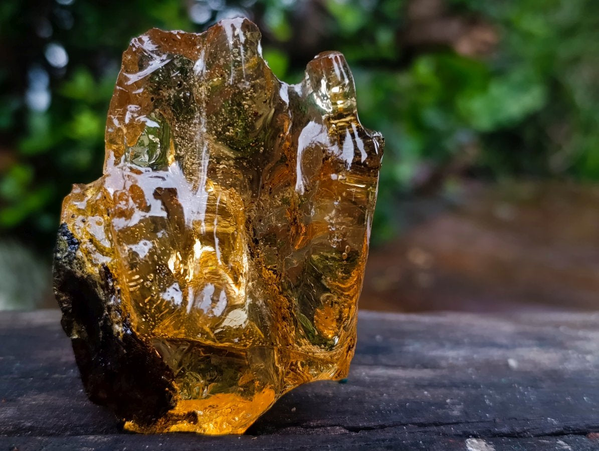 Natural Copal Amber with Insect and Plant Inclusions x 1 From Nosy Varika Madagascar