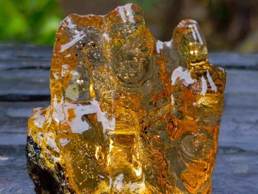Natural Copal Amber with Insect and Plant Inclusions x 1 From Nosy Varika Madagascar