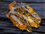 Natural Copal Amber with Insect and Plant Inclusions x 1 From Nosy Varika Madagascar