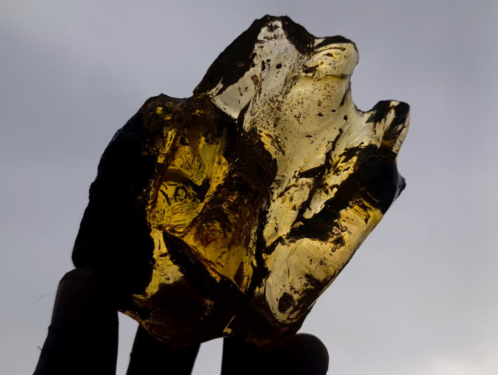 Natural Copal Amber with Insect and Plant Inclusions x 1 From Nosy Varika Madagascar