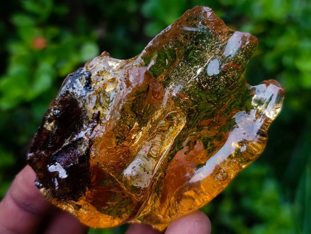 Natural Copal Amber with Insect and Plant Inclusions x 1 From Nosy Varika Madagascar