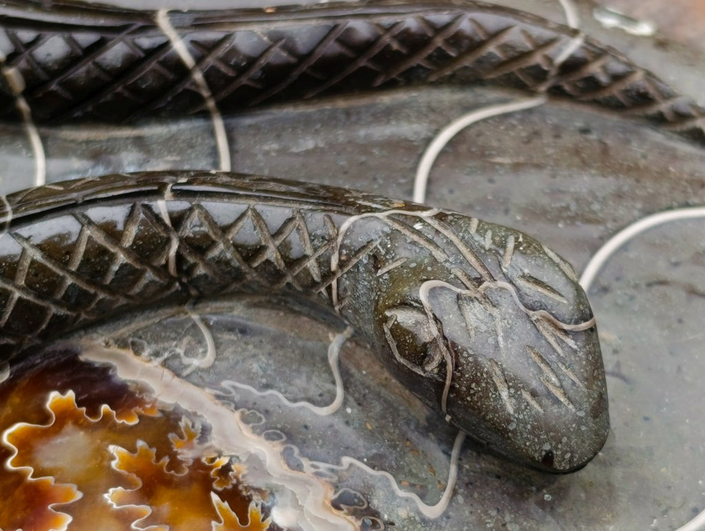Polished Large Amber Cleoniceras Ammonite Fossil Snake Carving x 1 From Tulear, Madagascar