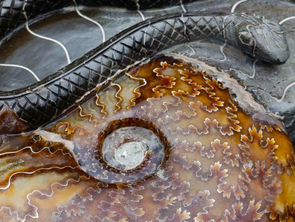 Polished Large Amber Cleoniceras Ammonite Fossil Snake Carving x 1 From Tulear, Madagascar