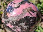 Polished Large Bright Pink and Black Rhodonite Sphere x 1 From Madagascar
