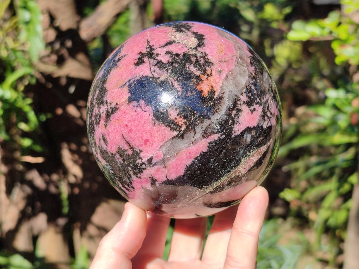 Polished Large Bright Pink and Black Rhodonite Sphere x 1 From Madagascar