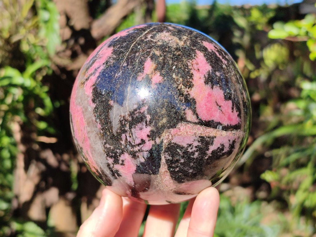 Polished Large Bright Pink and Black Rhodonite Sphere x 1 From Madagascar