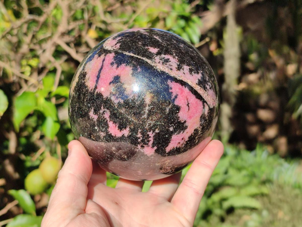 Polished Large Bright Pink and Black Rhodonite Sphere x 1 From Madagascar