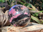 Polished Large Bright Pink and Black Rhodonite Sphere x 1 From Madagascar