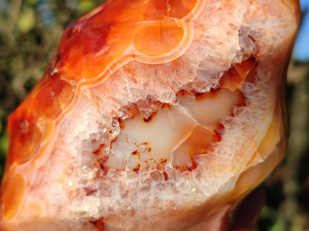 Polished Large Carnelian Gemstone Flame Sculpture x 1 From Madagascar
