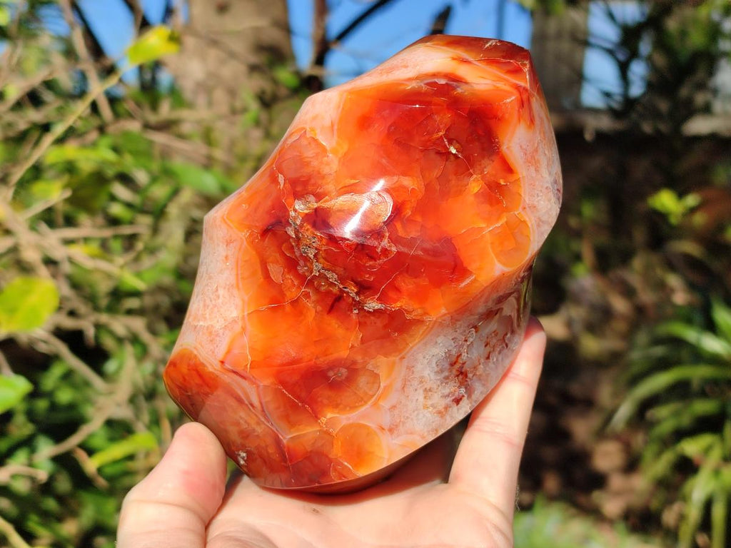 Polished Large Carnelian Gemstone Flame Sculpture x 1 From Madagascar