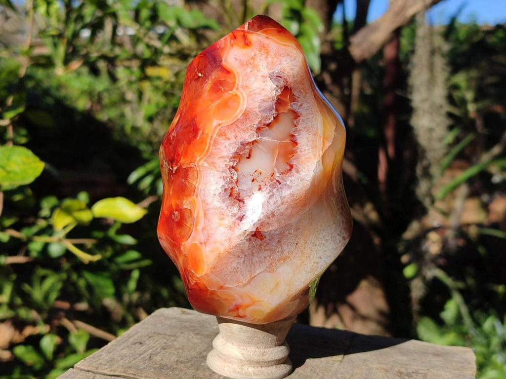 Polished Large Carnelian Gemstone Flame Sculpture x 1 From Madagascar