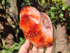 Polished Large Carnelian Gemstone Flame Sculpture x 1 From Madagascar