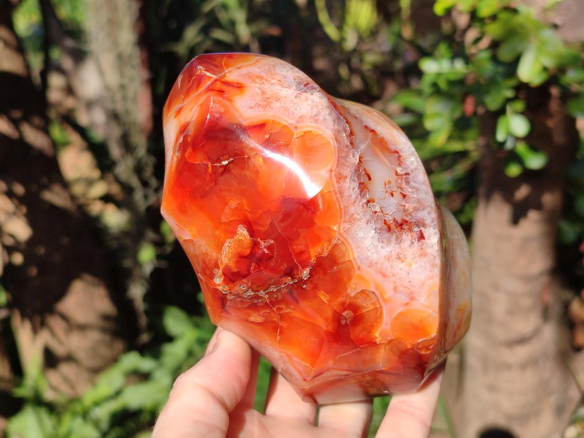 Polished Large Carnelian Gemstone Flame Sculpture x 1 From Madagascar