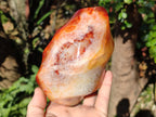 Polished Large Carnelian Gemstone Flame Sculpture x 1 From Madagascar