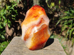 Polished Large Carnelian Gemstone Flame Sculpture x 1 From Madagascar