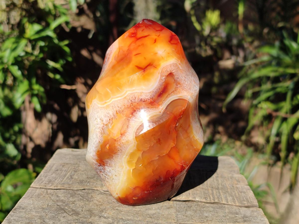 Polished Large Carnelian Gemstone Flame Sculpture x 1 From Madagascar
