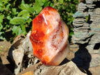 Polished Large Carnelian Gemstone Flame Sculpture x 1 From Madagascar