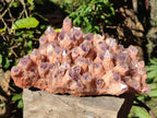 Natural Large Sugar Amethyst Quartz Crystal Cluster x 1 From Solwezi, Zambia