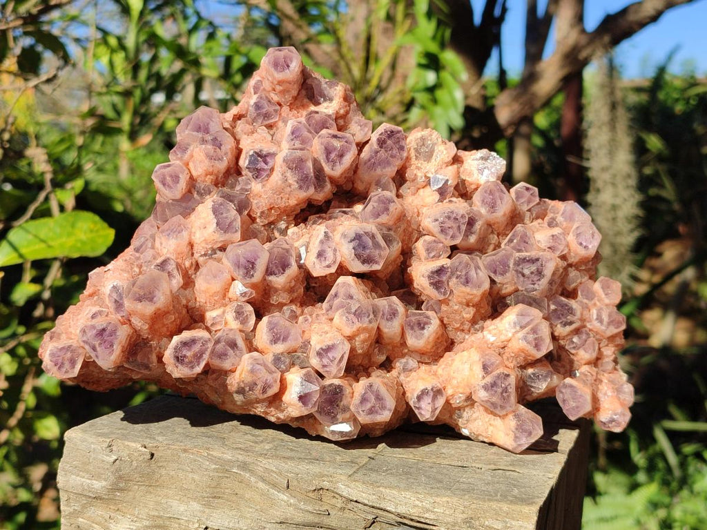 Natural Large Sugar Amethyst Quartz Crystal Cluster x 1 From Solwezi, Zambia