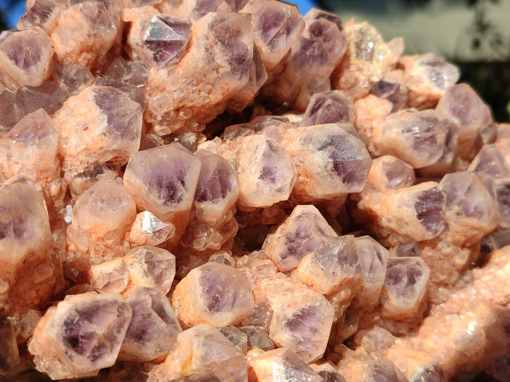 Natural Large Sugar Amethyst Quartz Crystal Cluster x 1 From Solwezi, Zambia