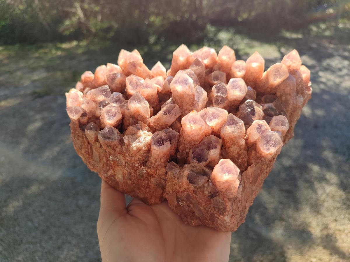 Natural Large Sugar Amethyst Quartz Crystal Cluster x 1 From Solwezi, Zambia