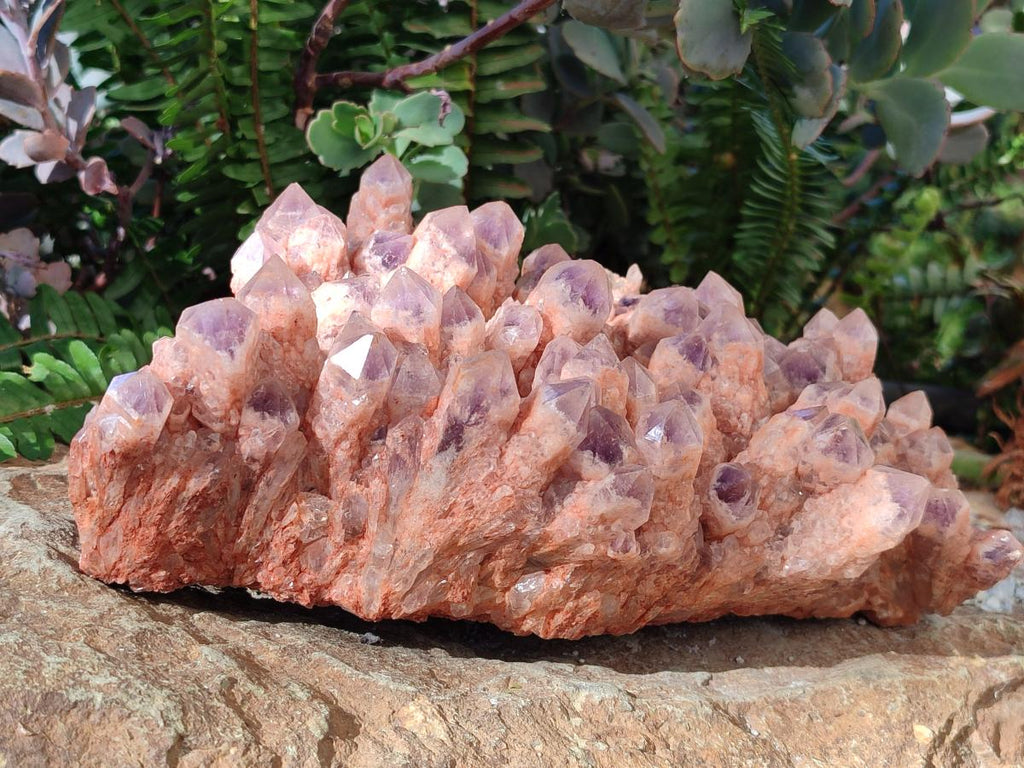 Natural Large Sugar Amethyst Quartz Crystal Cluster x 1 From Solwezi, Zambia