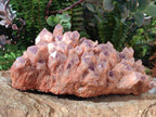 Natural Large Sugar Amethyst Quartz Crystal Cluster x 1 From Solwezi, Zambia