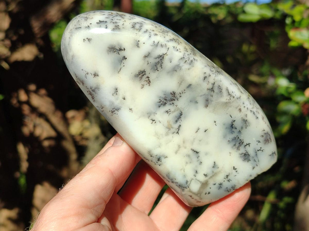 Polished Dendritic White Opal Standing Display Piece x 1 From Madagascar