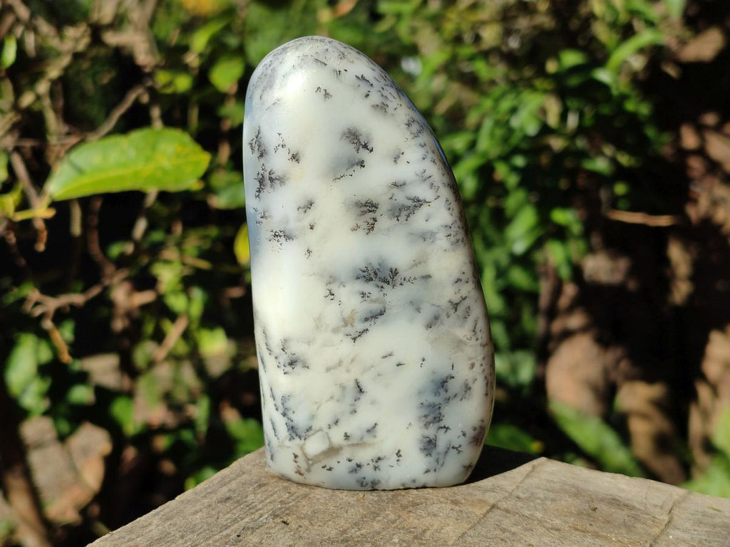 Polished Dendritic White Opal Standing Display Piece x 1 From Madagascar