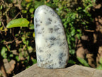 Polished Dendritic White Opal Standing Display Piece x 1 From Madagascar