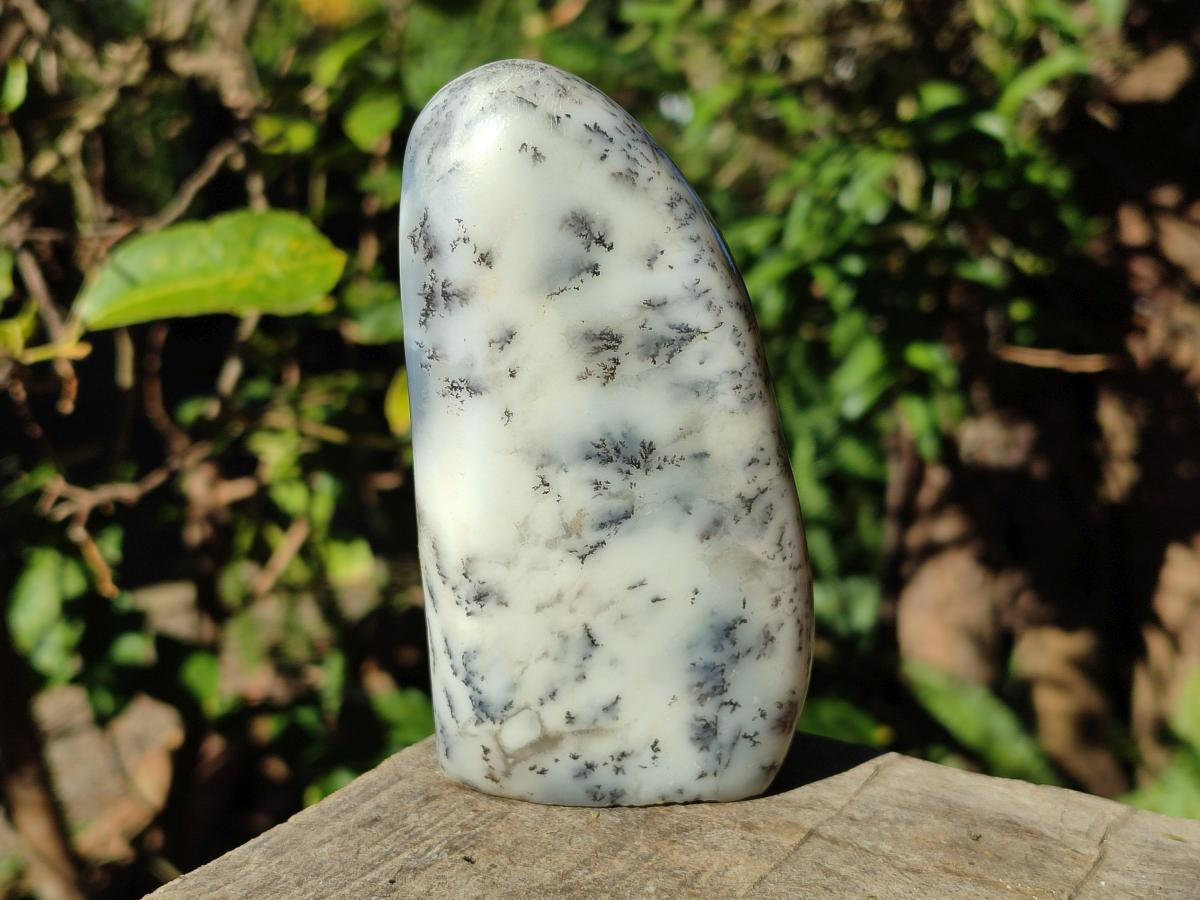 Polished Dendritic White Opal Standing Display Piece x 1 From Madagascar