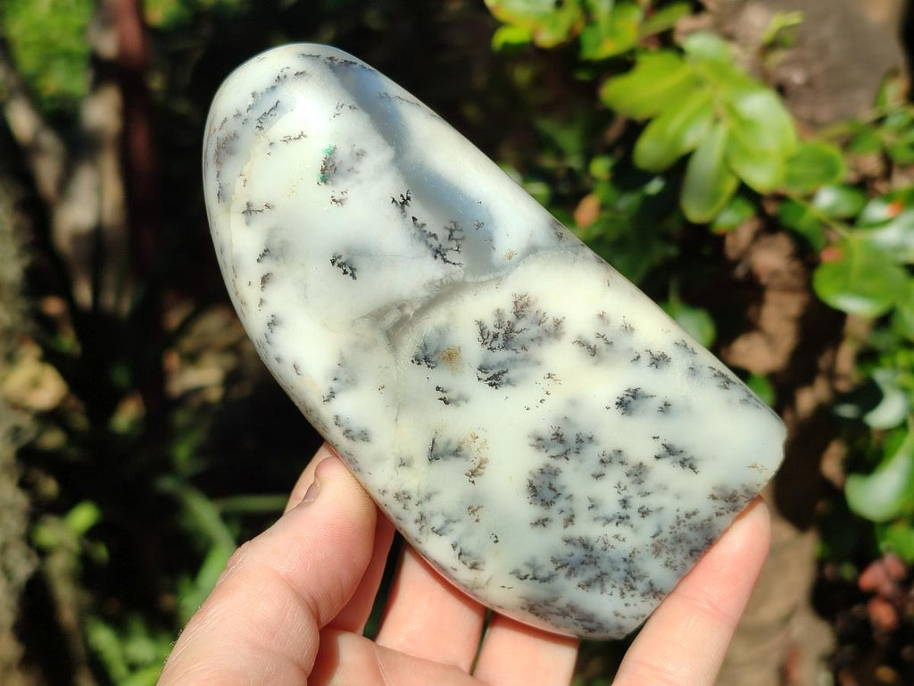 Polished Dendritic White Opal Standing Display Piece x 1 From Madagascar