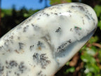 Polished Dendritic White Opal Standing Display Piece x 1 From Madagascar