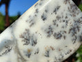Polished Dendritic White Opal Standing Display Piece x 1 From Madagascar