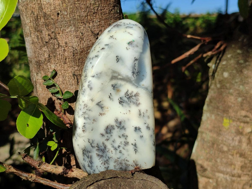 Polished Dendritic White Opal Standing Display Piece x 1 From Madagascar