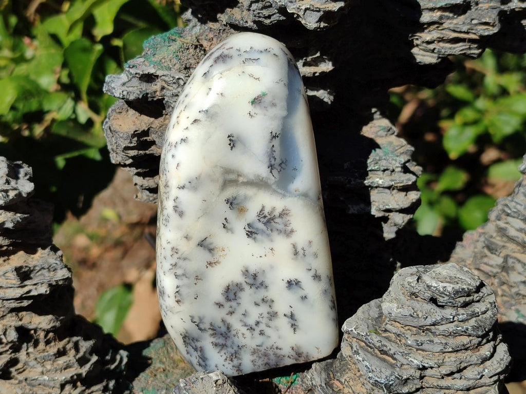 Polished Dendritic White Opal Standing Display Piece x 1 From Madagascar