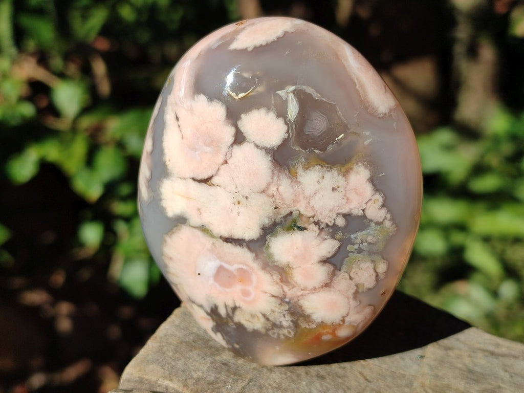 Polished Coral Flower Agate Standing Display Piece x 1 From Maintirano, Madagascar