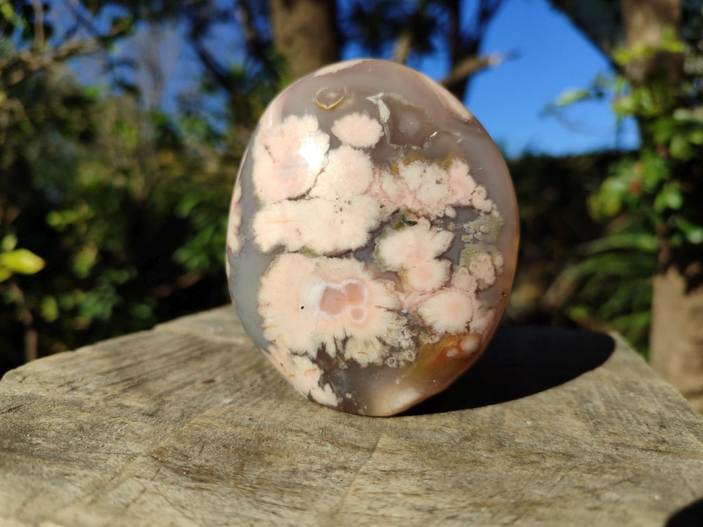 Polished Coral Flower Agate Standing Display Piece x 1 From Maintirano, Madagascar