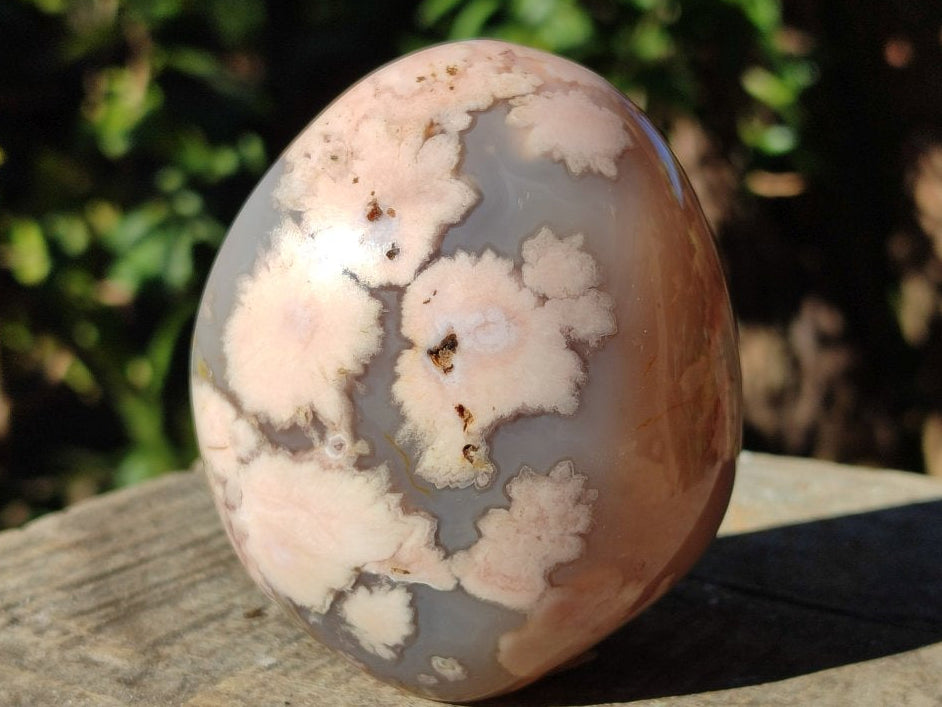 Polished Coral Flower Agate Standing Display Piece x 1 From Maintirano, Madagascar