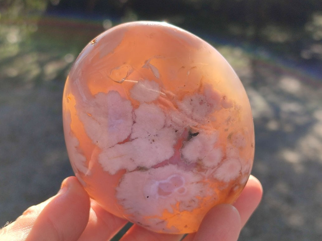 Polished Coral Flower Agate Standing Display Piece x 1 From Maintirano, Madagascar