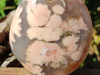 Polished Coral Flower Agate Standing Display Piece x 1 From Maintirano, Madagascar