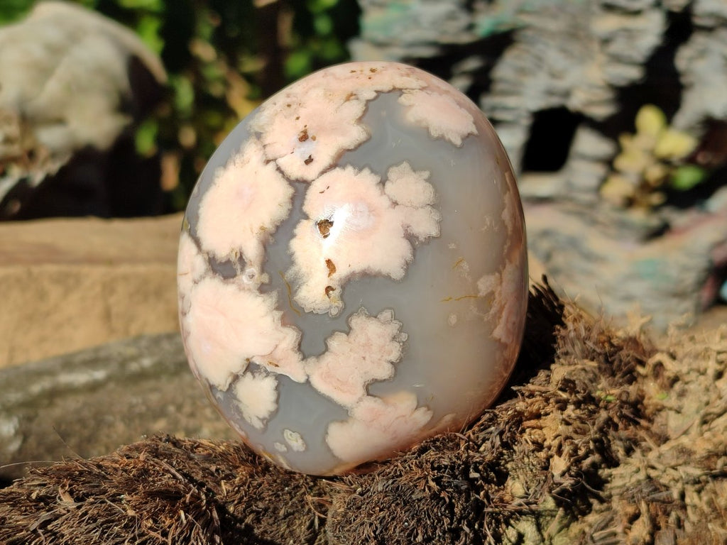 Polished Coral Flower Agate Standing Display Piece x 1 From Maintirano, Madagascar