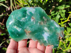 Polished One Side Mtorolite Emerald Chrysoprase Slice x 1 From Mutorashanga, Zimbabwe