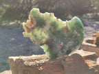 Polished One Side Mtorolite Emerald Chrysoprase Slice x 1 From Mutorashanga, Zimbabwe