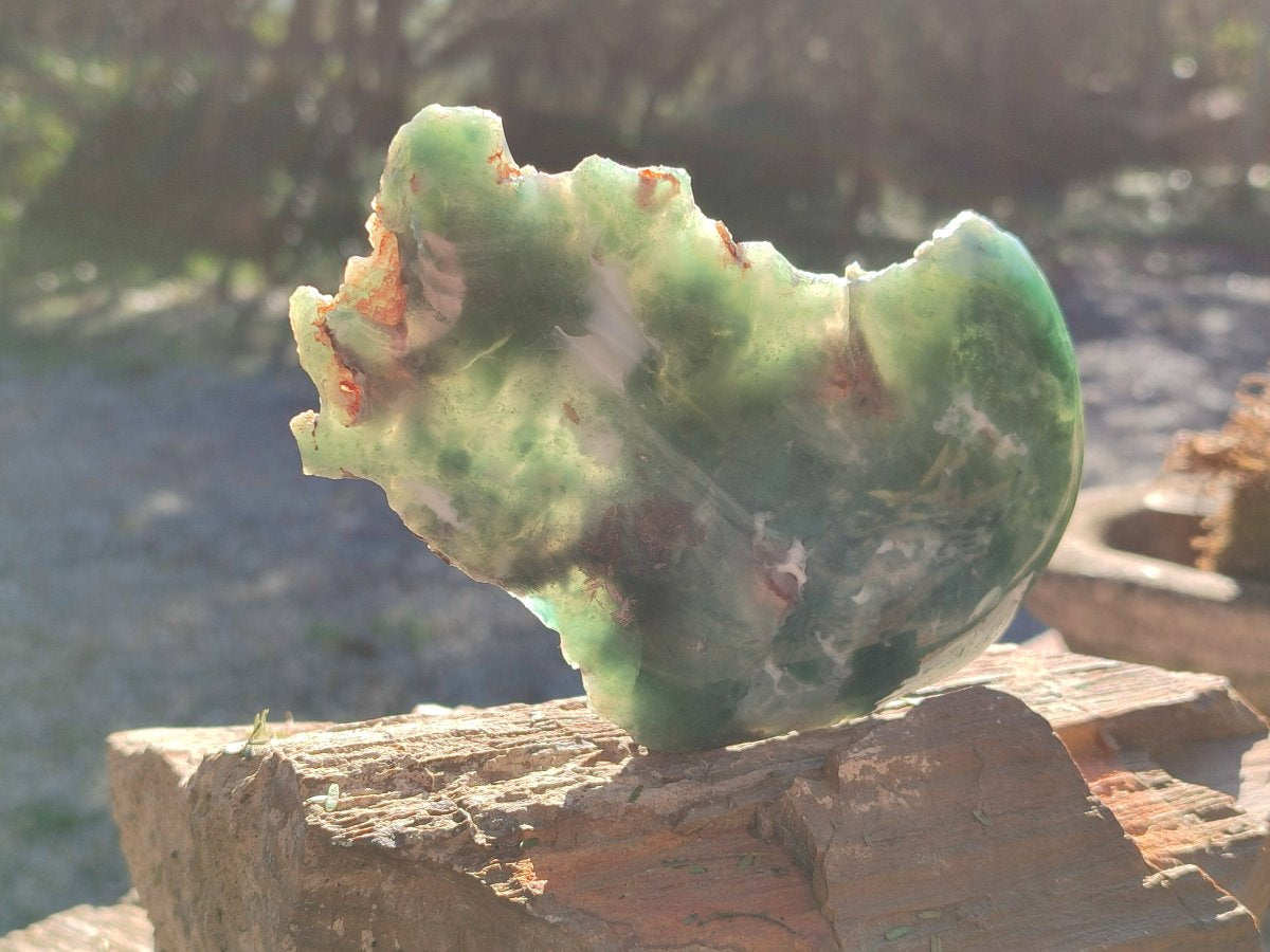 Polished One Side Mtorolite Emerald Chrysoprase Slice x 1 From Mutorashanga, Zimbabwe