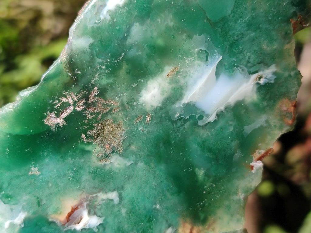 Polished One Side Mtorolite Emerald Chrysoprase Slice x 1 From Mutorashanga, Zimbabwe