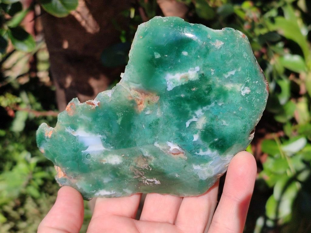 Polished One Side Mtorolite Emerald Chrysoprase Slice x 1 From Mutorashanga, Zimbabwe