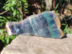 Polished Translucent Watermelon Fluorite Slice x 1 From Uis, Namibia